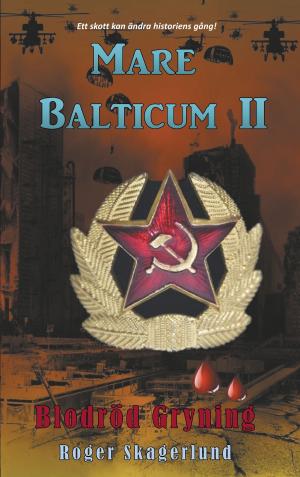 Cover of the book Mare Balticum II by S.R. Becker