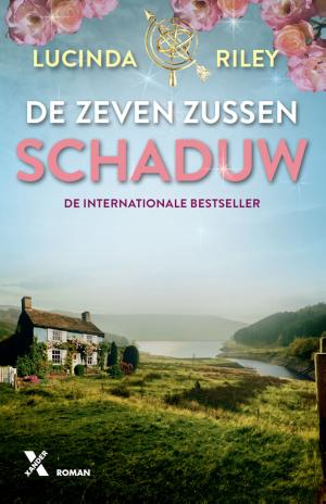 Cover of the book Schaduw by Pierre Lemaitre