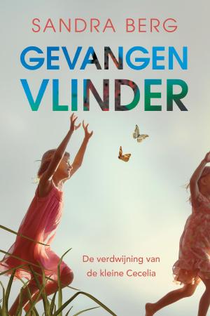 Cover of the book Gevangen vlinder by David Hewson