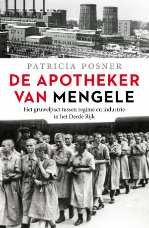 Cover of the book De apotheker van Mengele by Julia Burgers-Drost