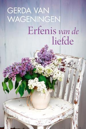 Cover of the book Erfenis van de liefde by Eva Burgers