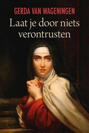 Cover of the book Laat je door niets verontrusten by Marion van de Coolwijk