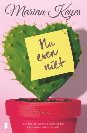 Cover of the book Nu even niet by Jessica Clare