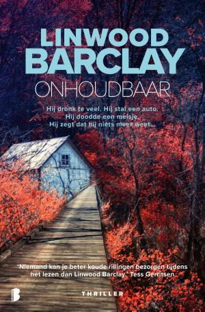 Book cover of Onhoudbaar