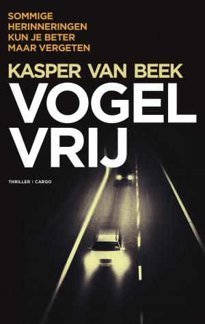 Cover of the book Vogelvrij by Lars Kepler