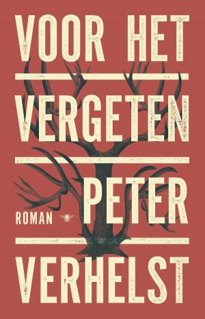 Cover of the book Voor het vergeten by Peter Terrin