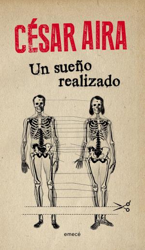 Cover of the book Un sueño realizado by Hilary Mantel