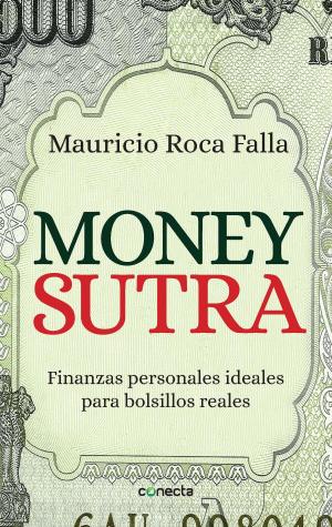 Cover of the book Money sutra by Jonathan Keates