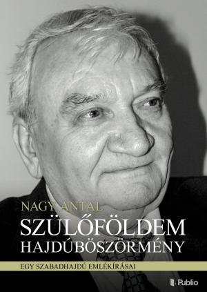 Cover of the book Szülőföldem Hajdúböszörmény by Jámbor László