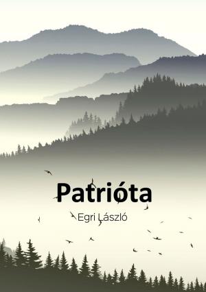 Cover of the book Patrióta by Kate Pilloy - Sas Botond