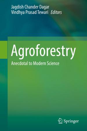 Cover of the book Agroforestry by Li Gan, Zhichao Yin, Jijun Tan