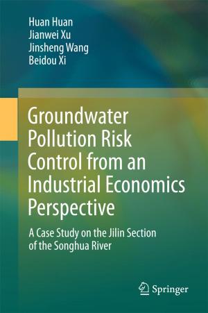 Cover of the book Groundwater Pollution Risk Control from an Industrial Economics Perspective by Ai-Guo Wu, Ying Zhang