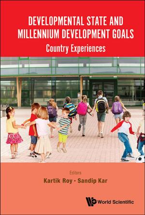 Cover of the book Developmental State and Millennium Development Goals by Elizabeth M Robertson