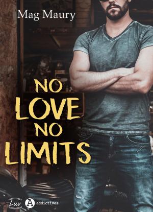 Cover of the book No Love, No Limits by Wendy Roy