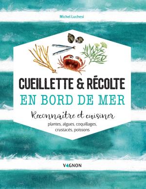 Cover of the book Cueillette & récolte en bord de mer by Thierry Fuzellier