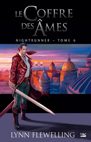 Cover of the book Le Coffre des âmes by Terry Goodkind