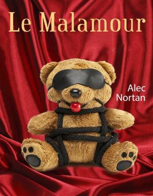 Cover of the book Le Malamour by Benjamin Ashton