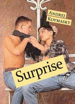 Cover of the book Surprise by Laura Santella