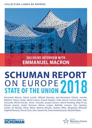 Book cover of Schuman report on Europe