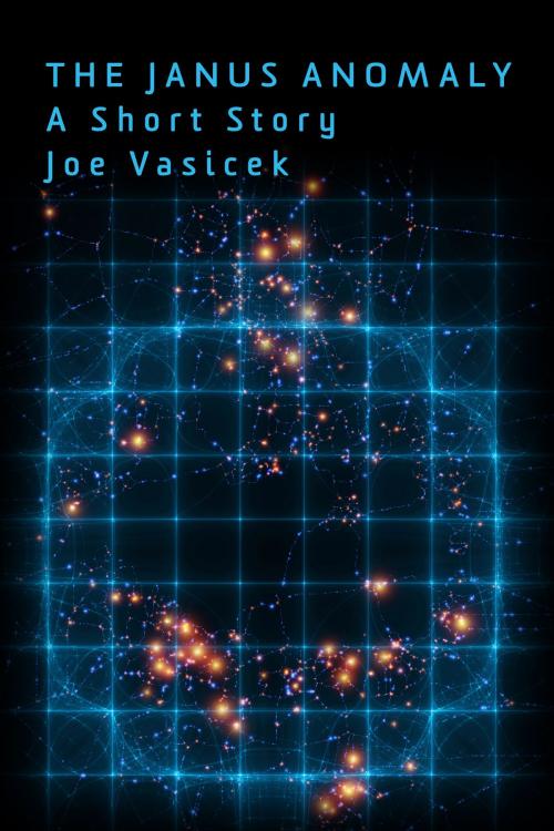 Cover of the book The Janus Anomaly by Joe Vasicek, Joe Vasicek