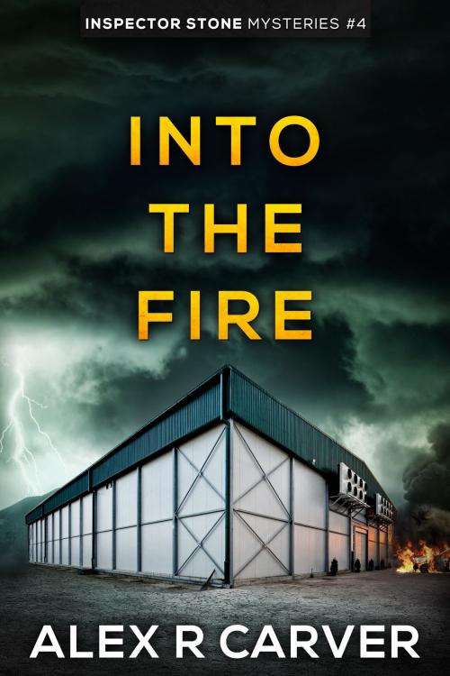 Cover of the book Into The Fire by Alex R Carver, ARC Books