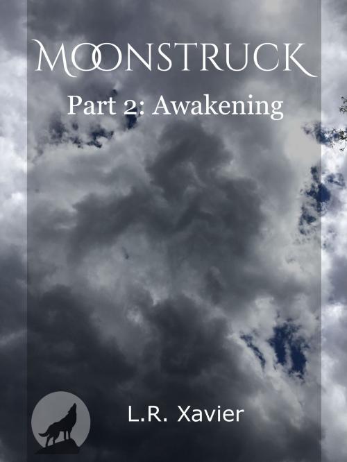 Cover of the book Moonstruck by L.R. Xavier, n/a