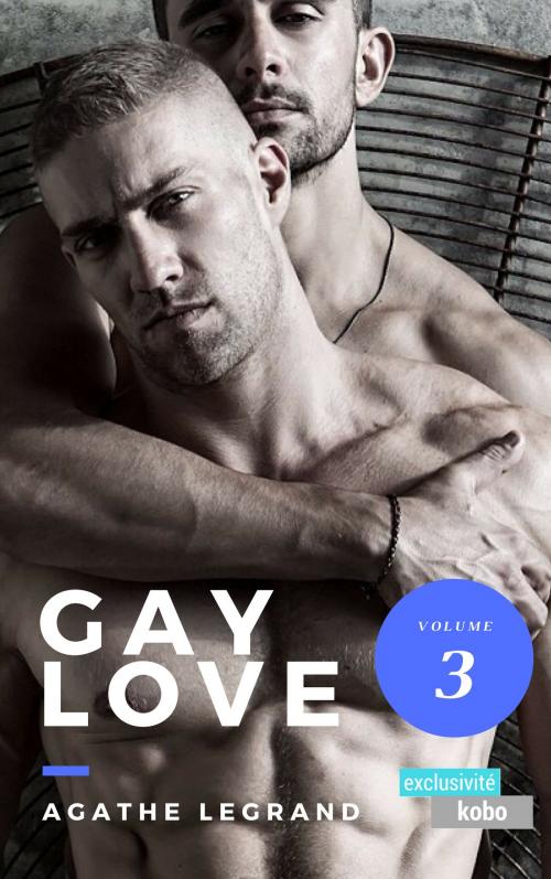 Cover of the book Gay Love (Vol. 3) by Agathe Legrand, AL Edition