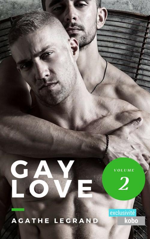 Cover of the book Gay Love (Vol. 2) by Agathe Legrand, AL Edition