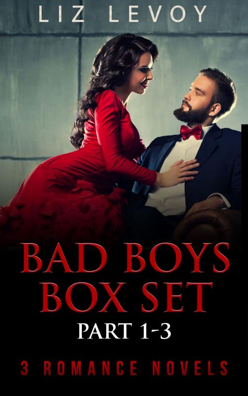 Cover of the book Bad Boys Box Set – Part 1-3 by Liz Levoy, Dao Press LLC