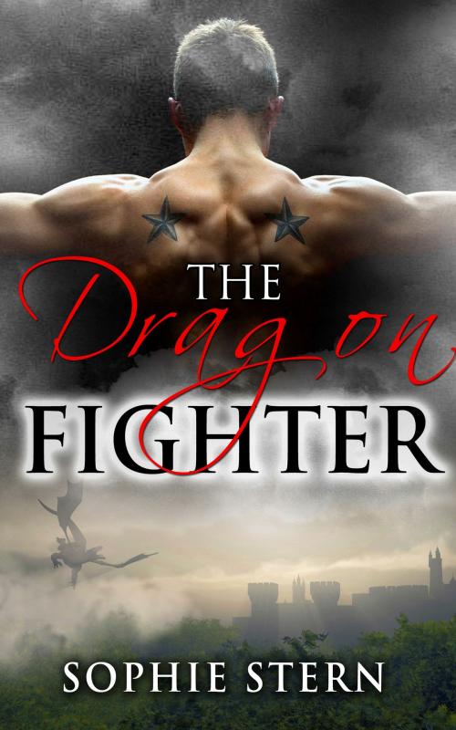 Cover of the book The Dragon Fighter by Sophie Stern, Sophie Stern