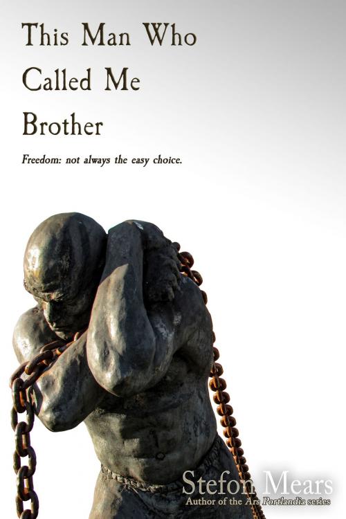 Cover of the book This Man Who Called Me Brother by Stefon Mears, Thousand Faces Publishing