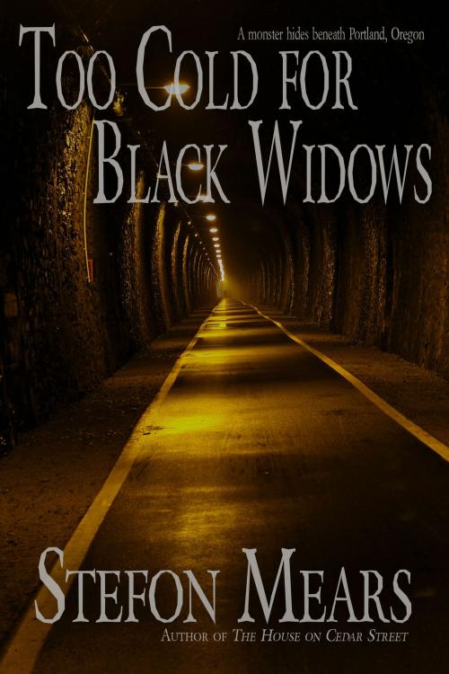 Cover of the book Too Cold for Black Widows by Stefon Mears, Thousand Faces Publishing