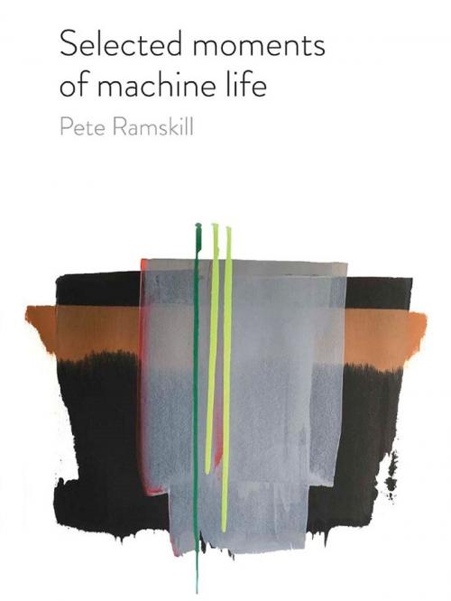 Cover of the book Selected moments of machine life by Pete Ramskill, Flapjack Press