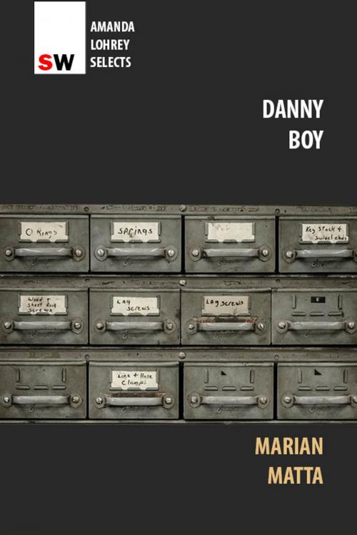 Cover of the book Danny Boy by Marian Matta, Spineless Wonders