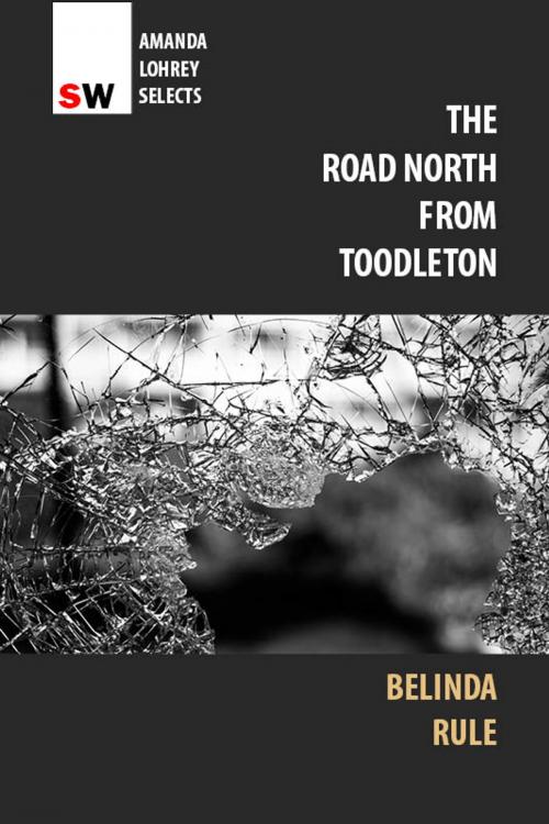 Cover of the book The Road North From Toodleton by Belinda Rule, Spineless Wonders