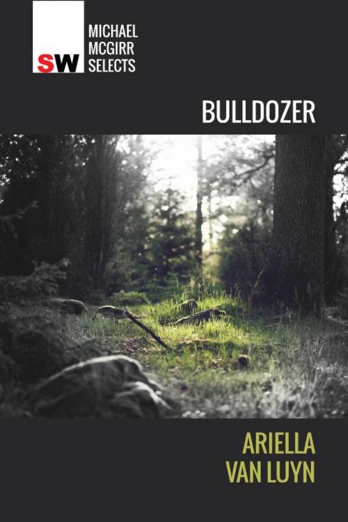 Cover of the book Bulldozer by Ariella Van Luyn, Spineless Wonders