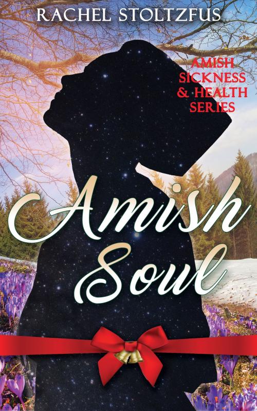 Cover of the book Amish Soul by Rachel Stoltzfus, Global Grafx, LLC