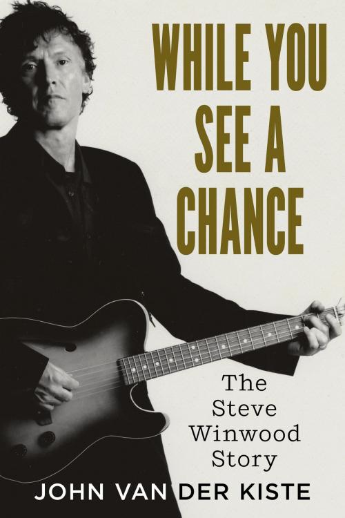 Cover of the book While You See A Chance by John Van der Kiste, Fonthill Media