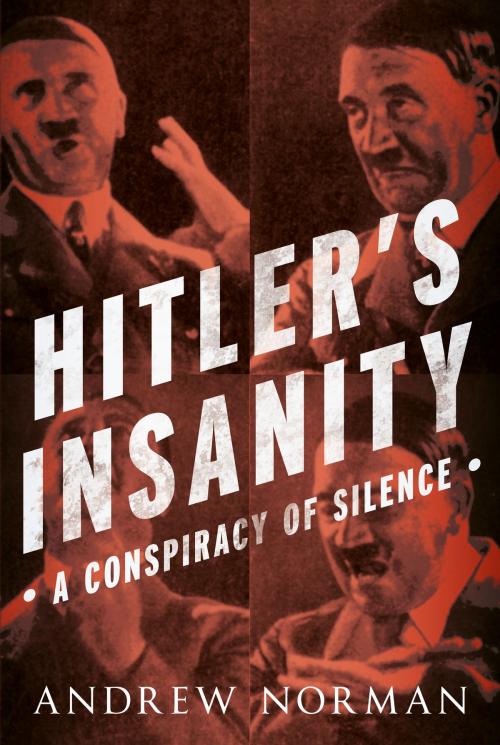 Cover of the book Hitler's Insanity by Andrew Norman, Fonthill Media