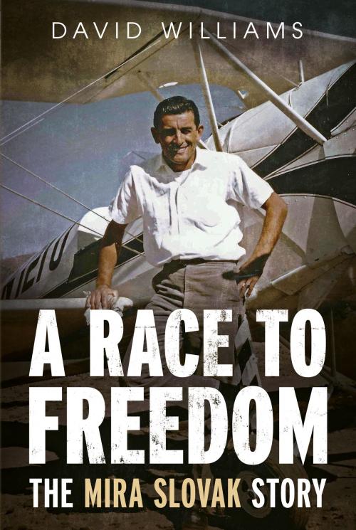 Cover of the book A Race to Freedom by David Williams, Fonthill Media