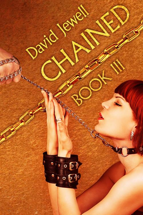 Cover of the book Chained - Book 3 by David Jewell, Sizzler Editions