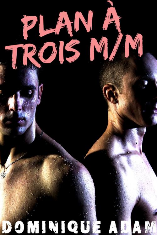 Cover of the book Plan A Trois M/M by Dominique Adam, Dominique Adam