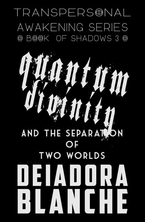 Cover of the book Quantum Divinity and the Separation of Two Worlds by Deiadora Blanche, Rebel Evolve