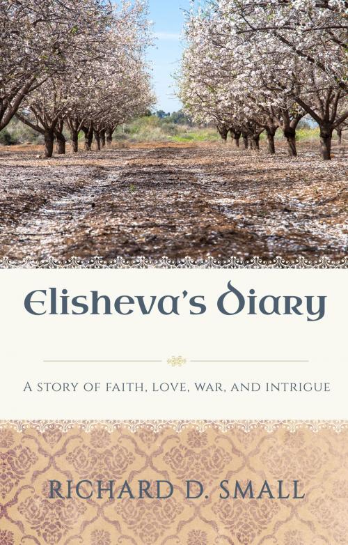 Cover of the book Elisheva's Diary by Richard D. Small, TouchPoint Press