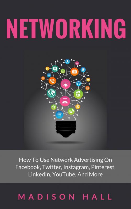 Cover of the book Networking by Madison Hall, PublishDrive