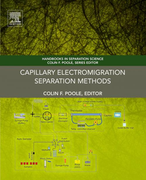 Cover of the book Capillary Electromigration Separation Methods by , Elsevier Science