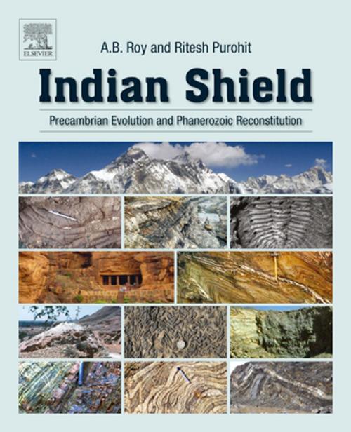 Cover of the book Indian Shield by A.B. Roy, Ritesh Purohit, Elsevier Science
