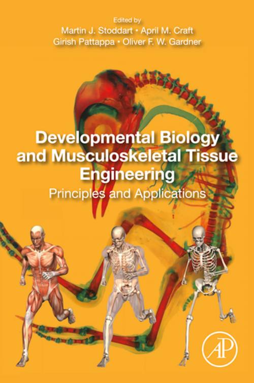 Cover of the book Developmental Biology and Musculoskeletal Tissue Engineering by , Elsevier Science