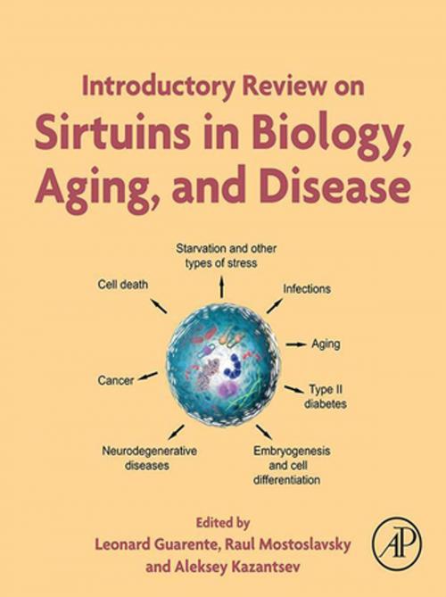 Cover of the book Introductory Review on Sirtuins in Biology, Aging, and Disease by , Elsevier Science