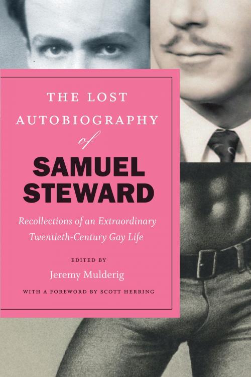 Cover of the book The Lost Autobiography of Samuel Steward by Samuel Steward, University of Chicago Press